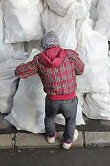 Image showing Looking in Trash Bags