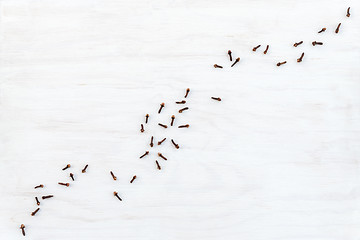 Image showing Cloves on white wooden background with copy space