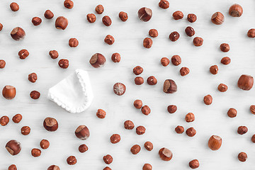 Image showing Dental teeth mold and hazelnuts on white background