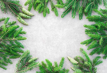 Image showing Green fir branches frame