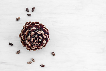 Image showing Pine tree cone and nuts on white wooden background