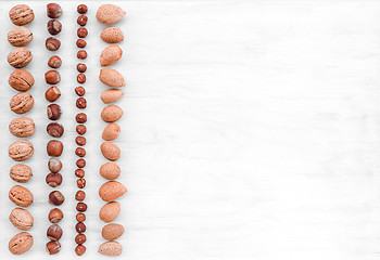 Image showing Rows of hazelnuts, almonds and walnuts on white background