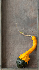 Image showing a special pumpkin on wooden background
