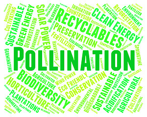 Image showing Pollination Word Represents Fertilize Text And Procreation