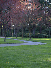 Image showing Park Pathway