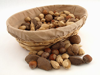 Image showing Mixed Nut Harvest