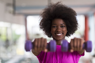 Image showing woman working out in a crossfit gym with dumbbells