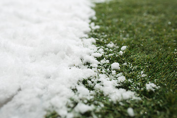 Image showing Meeting snow on green grass close up - between winter and spring concept background