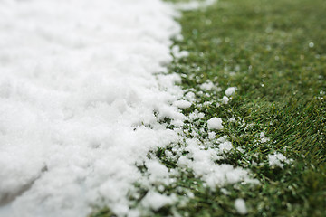 Image showing Meeting snow on green grass close up - between winter and spring concept background