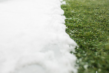 Image showing Meeting snow on green grass close up - between winter and spring concept background