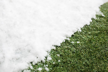 Image showing Meeting snow on green grass close up - between winter and spring concept background