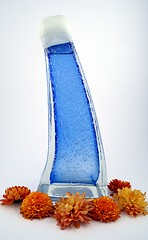 Image showing Blue Bottle