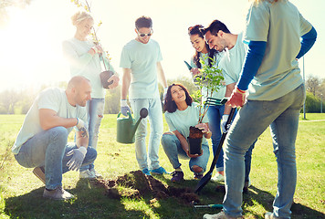 Image showing group of volunteers planting tree in park