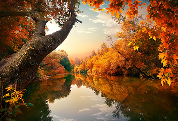 Image showing Orange autumn on river