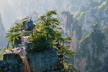 Image showing Zhangjiajie mountains, China