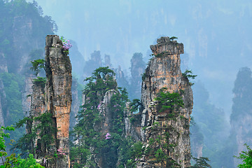 Image showing Zhangjiajie mountains, China