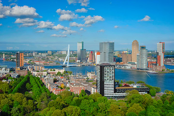 Image showing View of Rotterdam city and the Erasmus bridge 