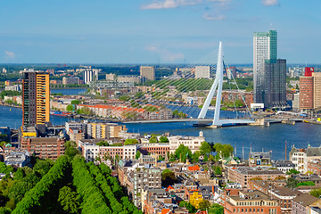 Image showing View of Rotterdam city and the Erasmus bridge 