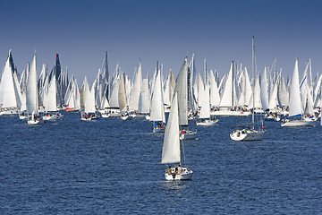 Image showing One oft Biggest sail boat regata in the world, Barcolana, Triest