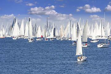 Image showing One oft Biggest sail boat regata in the world, Barcolana, Triest