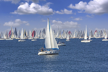 Image showing Regatta Barcolana in the Gulf of Trieste, Italy