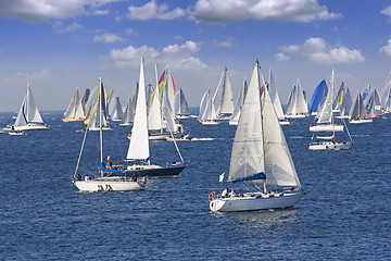 Image showing Regatta Barcolana in the Gulf of Trieste, Italy