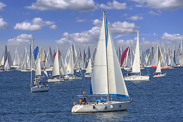 Image showing Regatta Barcolana in the Gulf of Trieste, Italy