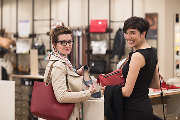 Image showing best friend shopping in big mall