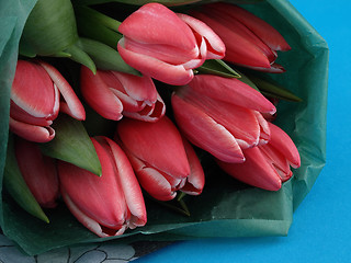 Image showing Tulips on Blue