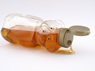 Image showing Honey Bear Drip