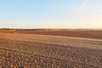 Image showing Agircutural field in late sunlight