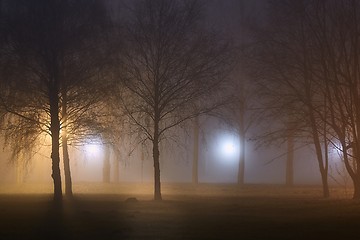 Image showing Foggy Mysterious Night