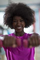 Image showing woman working out in a crossfit gym with dumbbells