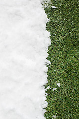 Image showing Meeting snow on green grass close up - between winter and spring concept background