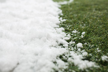 Image showing Meeting snow on green grass close up - between winter and spring concept background