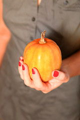 Image showing small pumpkin in hands of woman