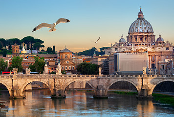 Image showing Birds and Vatican