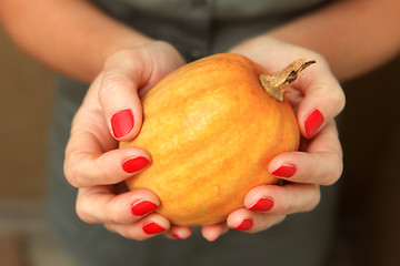 Image showing yellow pumpkin in hands