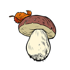 Image showing White mushroom boletus