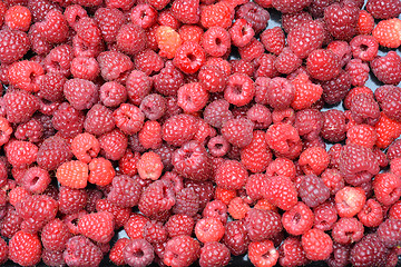 Image showing Raspberries