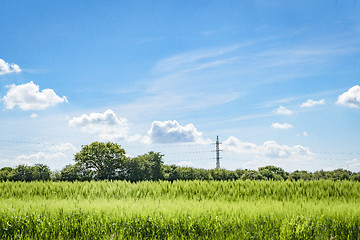 Image showing Pylons on a green field with crops