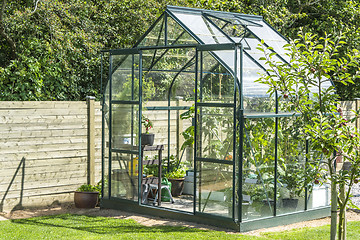 Image showing Greenhouse in a garden near a wooden fence