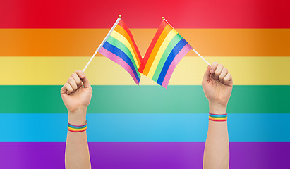 Image showing hand with gay pride rainbow flags and wristbands