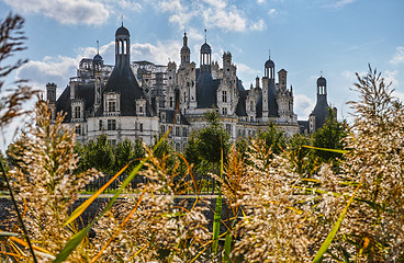 Image showing Chateau de Chambord from grass