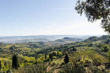 Image showing Green Tuscany landscape view