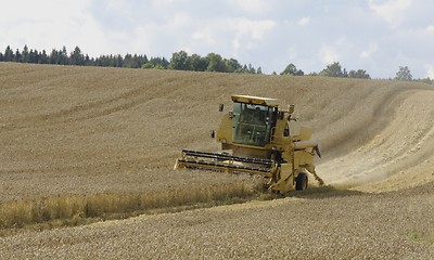 Image showing Harvesting