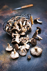 Image showing mushrooms