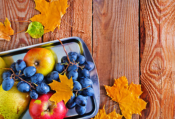 Image showing autumn harvest