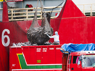 Image showing Truck loading tuna in Gensan City, the Philippines