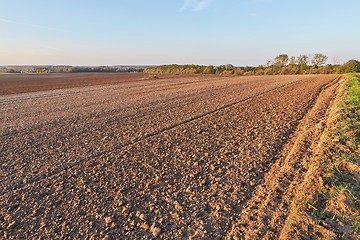 Image showing Agircutural field in late sunlight